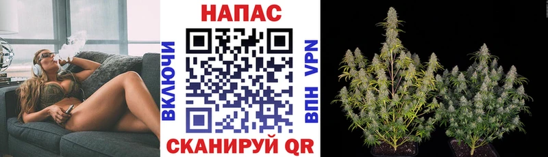 Конопля тримм  Талица 