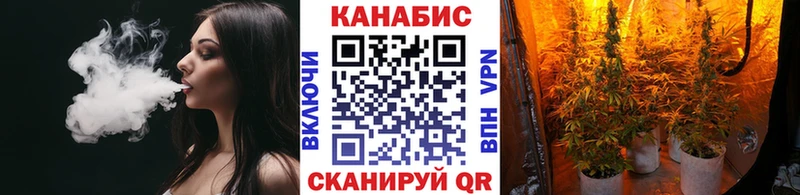 Бошки марихуана сатива Талица